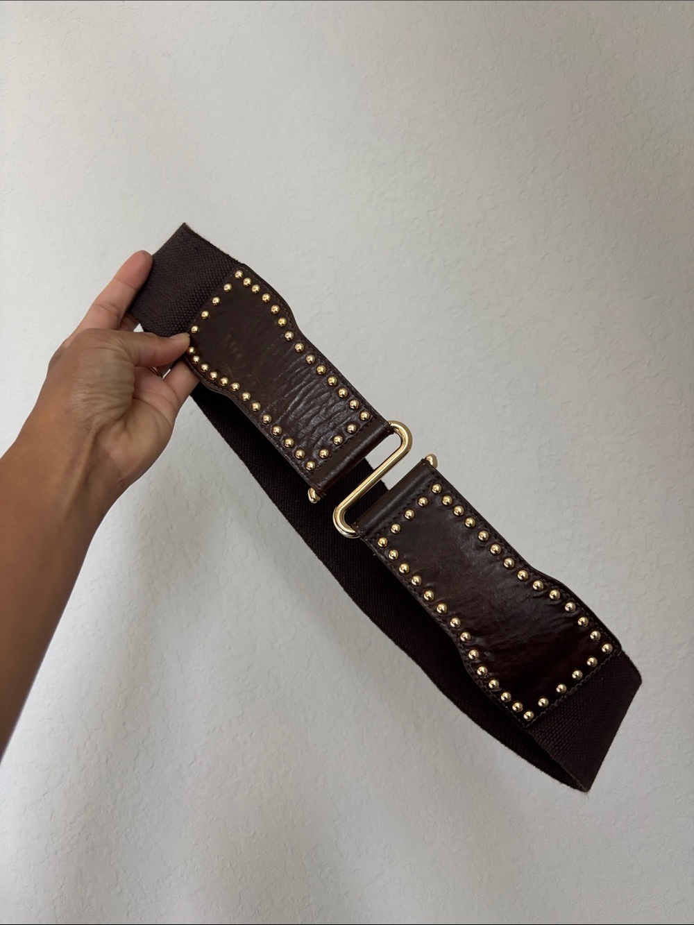 Hyde Elastic Studded Waist Belt in Dark Brown